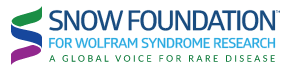 The Snow Foundation for Wolfram Syndrome Research homepage